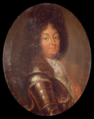 Porträt von Ludwig XIV. (1638-1715) von French School